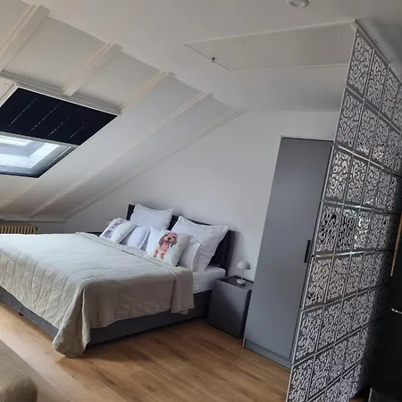 Rheinpark Rheinblick & Parkplatz