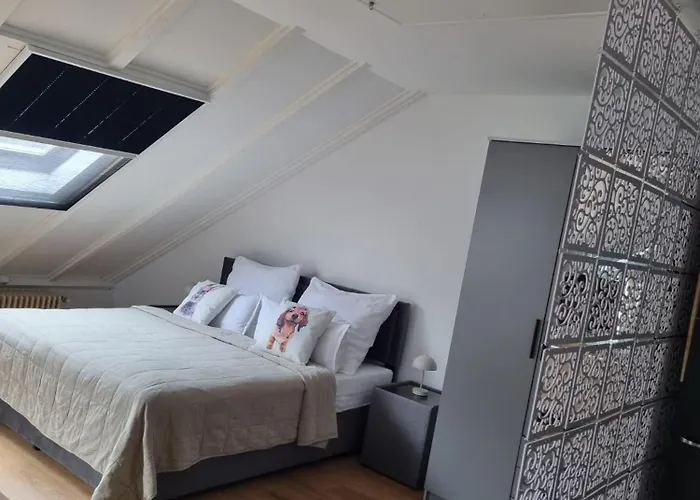 Rheinpark Rheinblick & Parkplatz